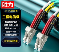 LC-LC万兆多模光纤跳线 OM3-300低烟无卤 胜为LSZH抗弯曲跳纤光纤线 3米 FLLO-1030